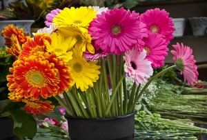 Bouquet of gerberas - Borgen systems