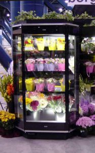 1 Door 2 Bays Floral